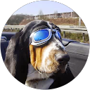 Profilbild von „H L“