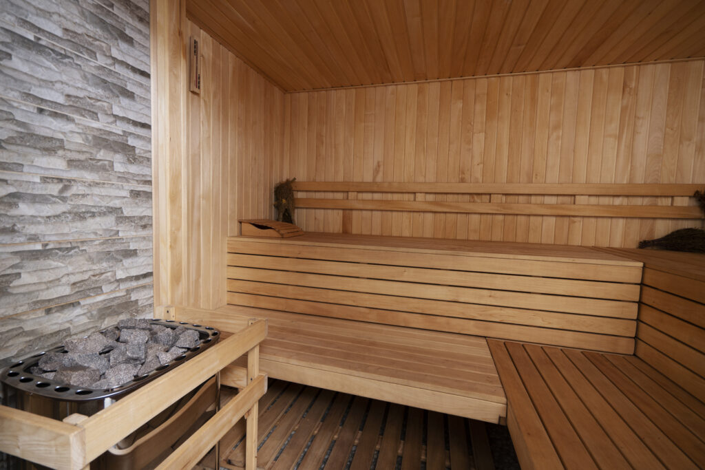 Sauna Lorsch Elektro Aydin