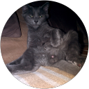 Philip Lenczak profile picture